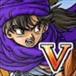 DQ5_icon