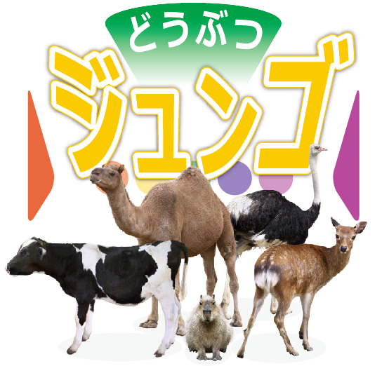 ジュンゴ