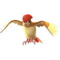 ピジョン