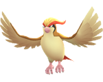 ピジョット