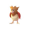 オニスズメ