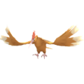オニドリル