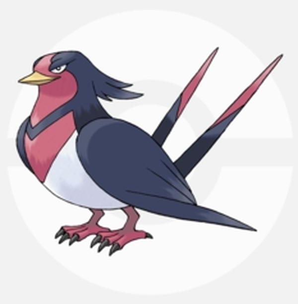 オオスバメ