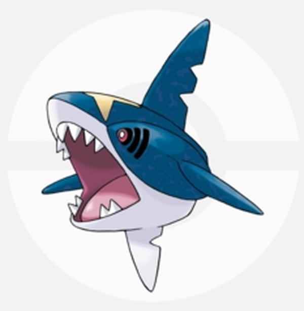 サメハダー