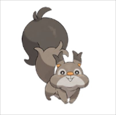 ホシガリス