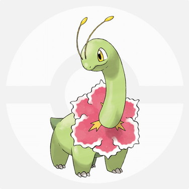 メガニウム