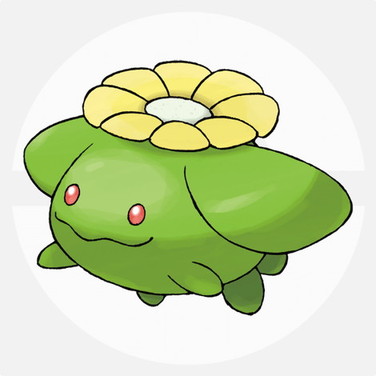 ポポッコ
