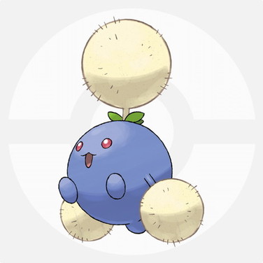 ワタッコ