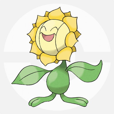 キマワリ
