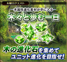 【木曜日】木々と歩む一日